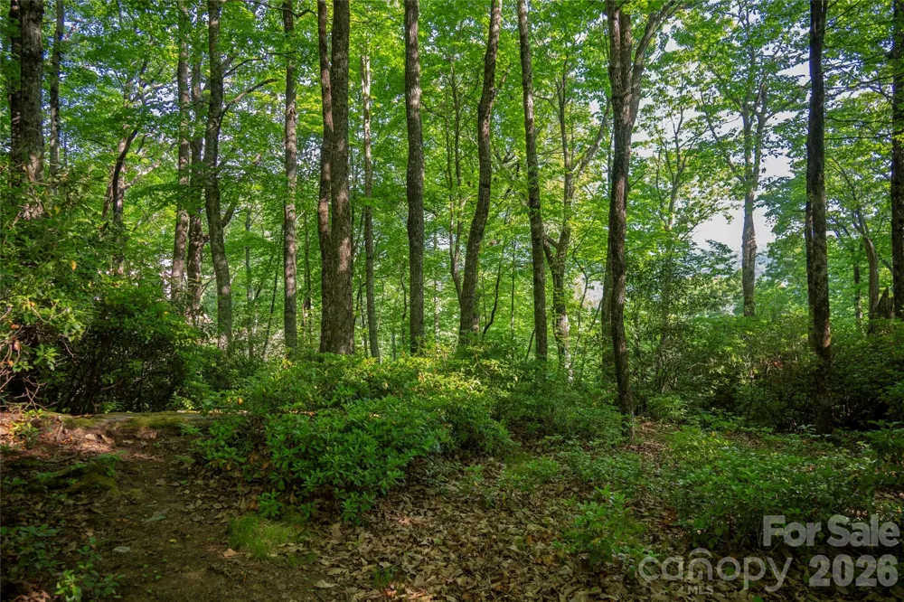 TM I 33 Toxaway Drive Lake Toxaway, NC 28747