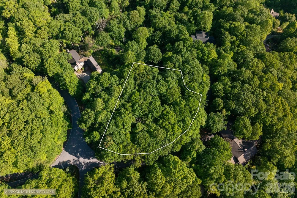 TM I 33 Toxaway Drive Lake Toxaway, NC 28747