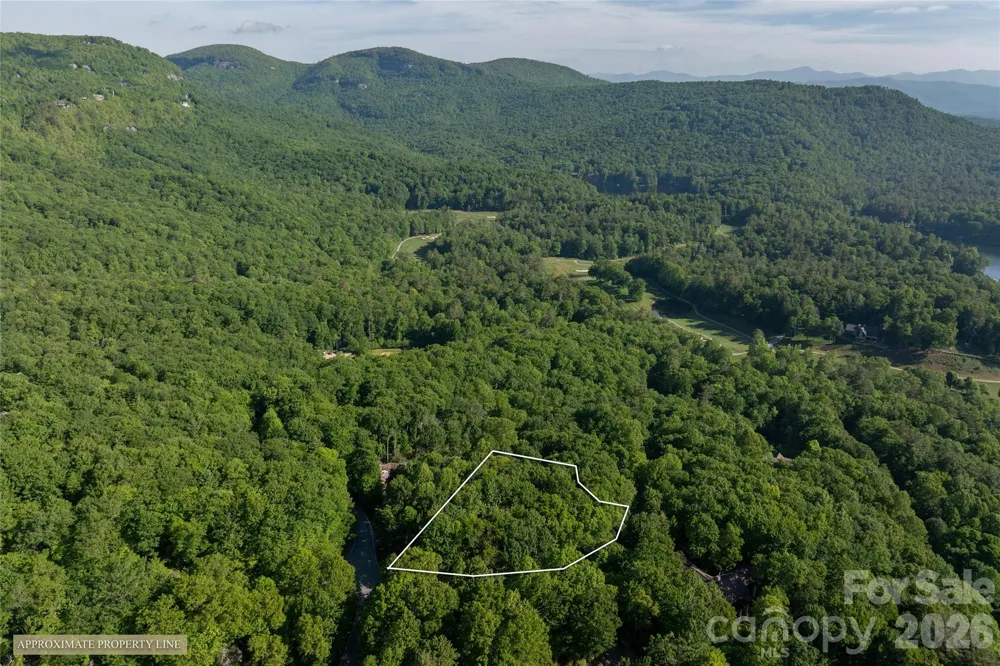 TM I 33 Toxaway Drive Lake Toxaway, NC 28747