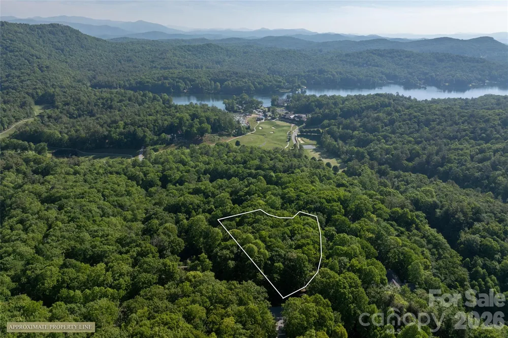 TM I 33 Toxaway Drive Lake Toxaway, NC 28747