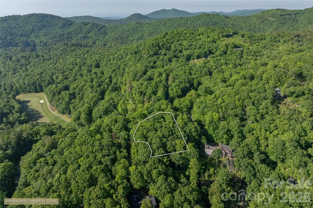 TM I 33 Toxaway Drive Lake Toxaway, NC 28747