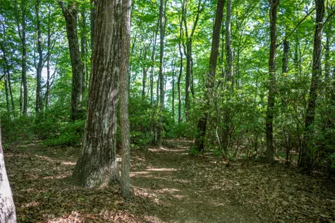 TMI 33 Toxaway Drive
