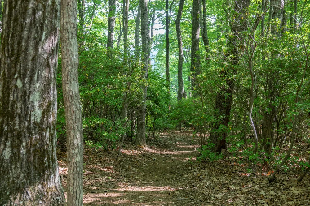 TMI 33 Toxaway Drive Lake Toxaway, NC 28747