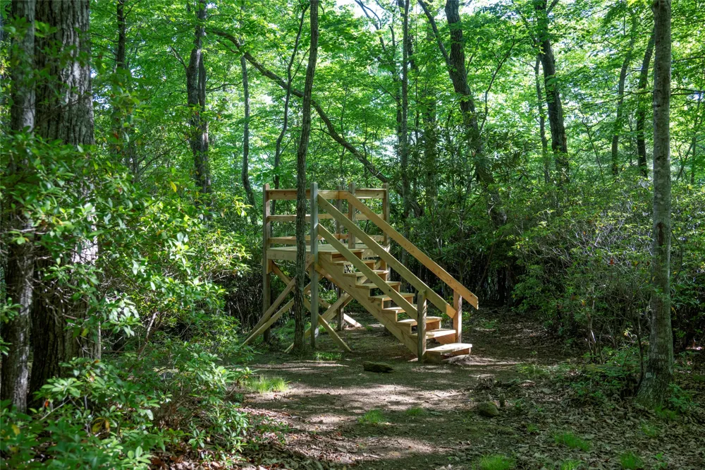 TMI 33 Toxaway Drive Lake Toxaway, NC 28747