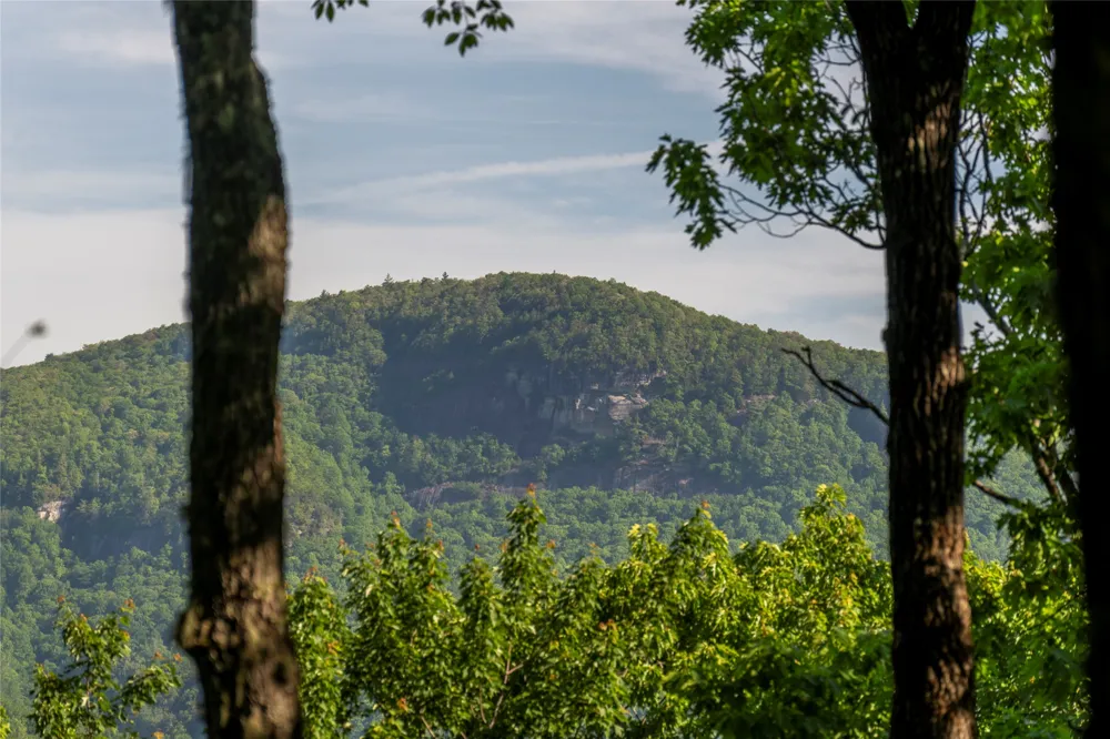 TMI 33 Toxaway Drive Lake Toxaway, NC 28747