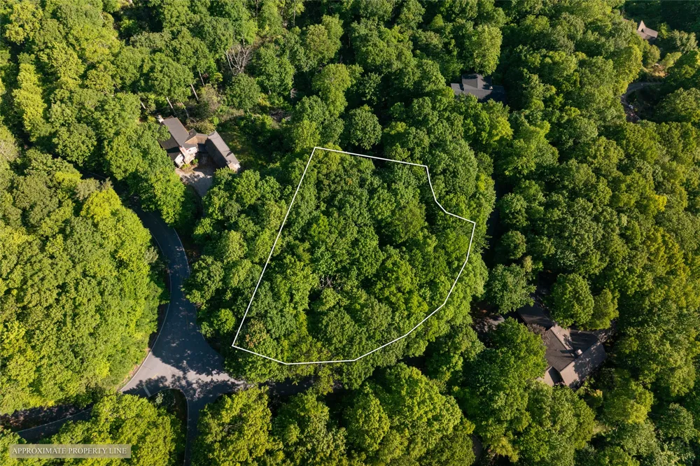 TMI 33 Toxaway Drive Lake Toxaway, NC 28747