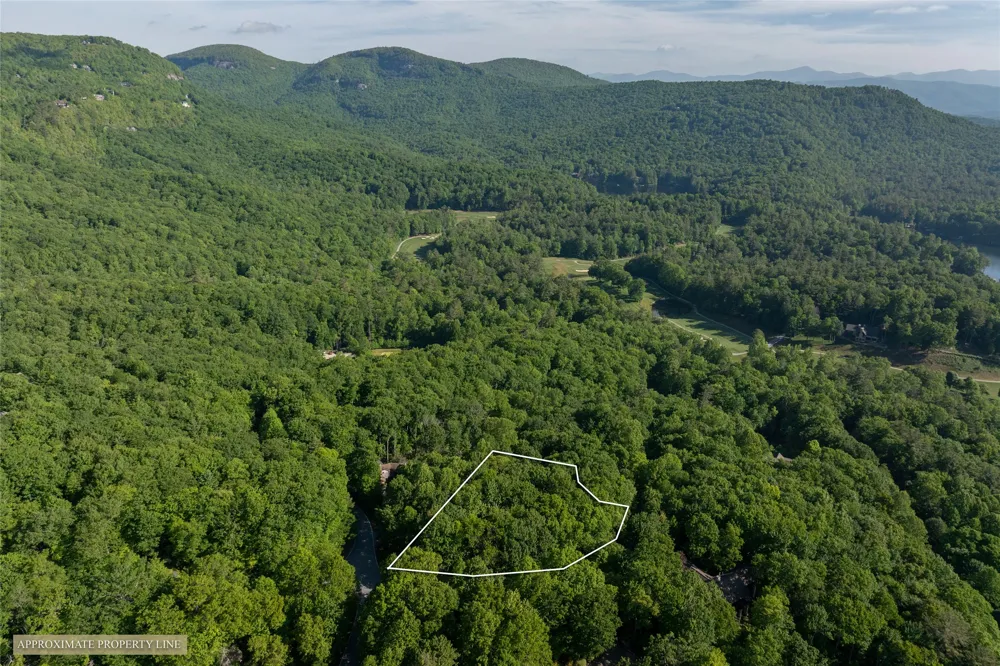 TMI 33 Toxaway Drive Lake Toxaway, NC 28747