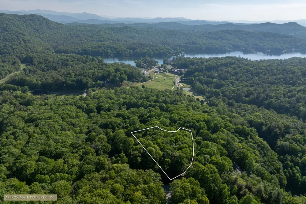 TMI 33 Toxaway Drive Lake Toxaway, NC 28747