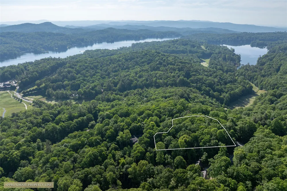 TMI 33 Toxaway Drive Lake Toxaway, NC 28747