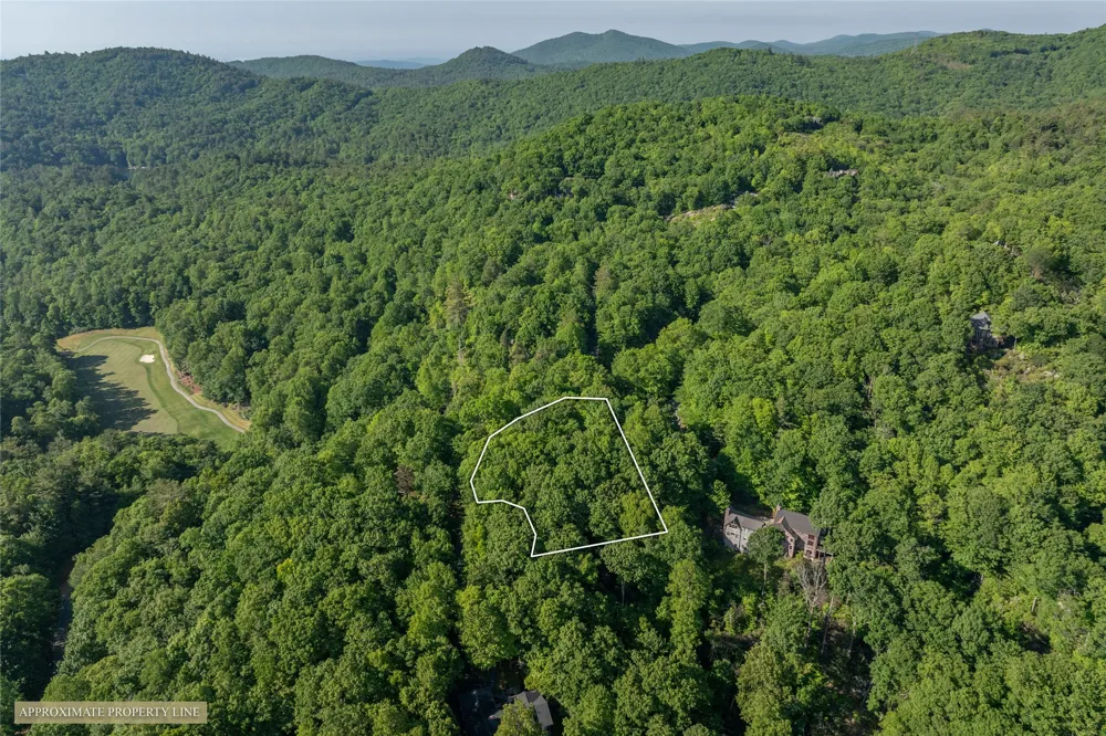 TMI 33 Toxaway Drive Lake Toxaway, NC 28747