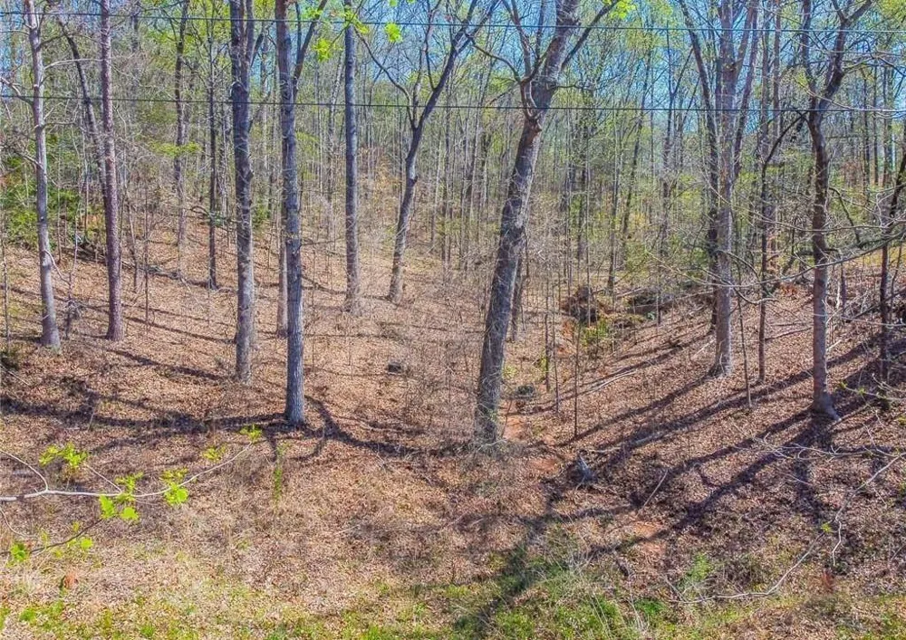 0 Arrow Lane Lavonia, GA 30553