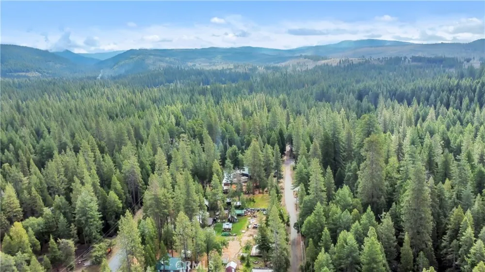 7515 Abner Lane Forest Ranch, CA 95942