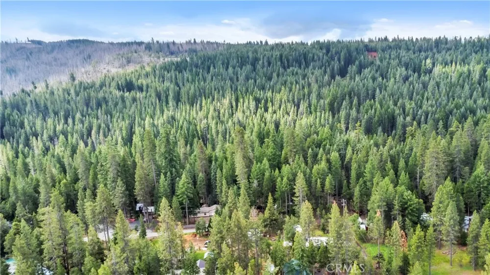 7515 Abner Lane Forest Ranch, CA 95942