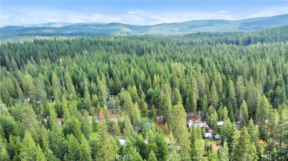7515 Abner Lane Forest Ranch, CA 95942