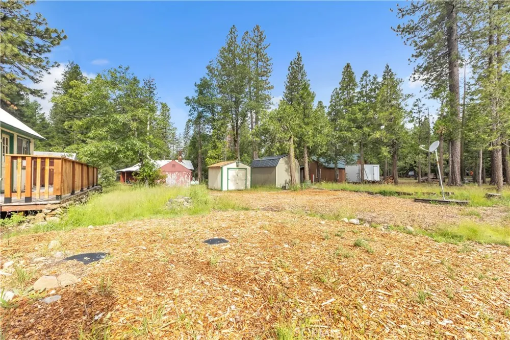 7515 Abner Lane Forest Ranch, CA 95942