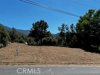 2045 Woodland Drive Pine Mountain Club, CA 93222