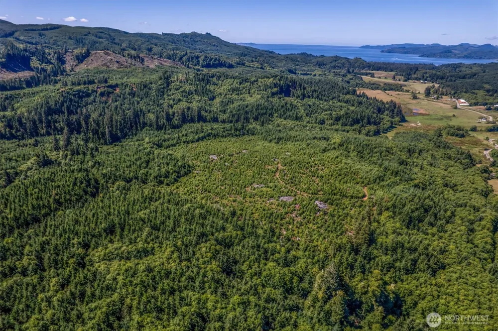 0 Eden Valley Road Rosburg, WA 98643
