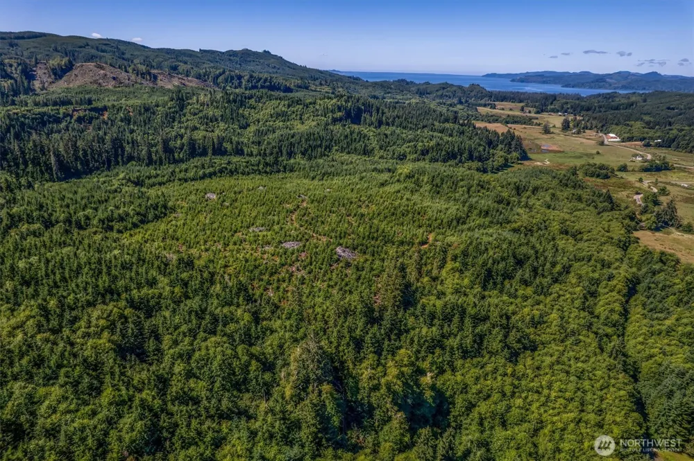 0 Eden Valley Road Rosburg, WA 98643