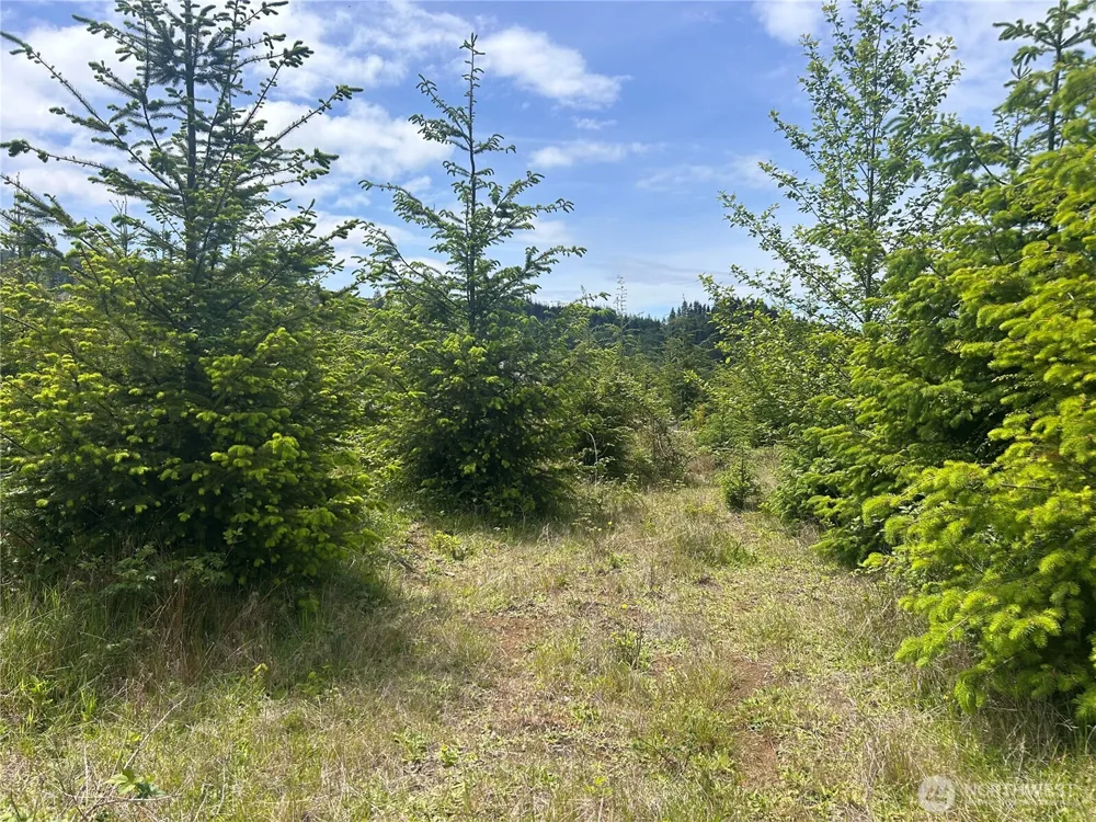 0 Eden Valley Road Rosburg, WA 98643