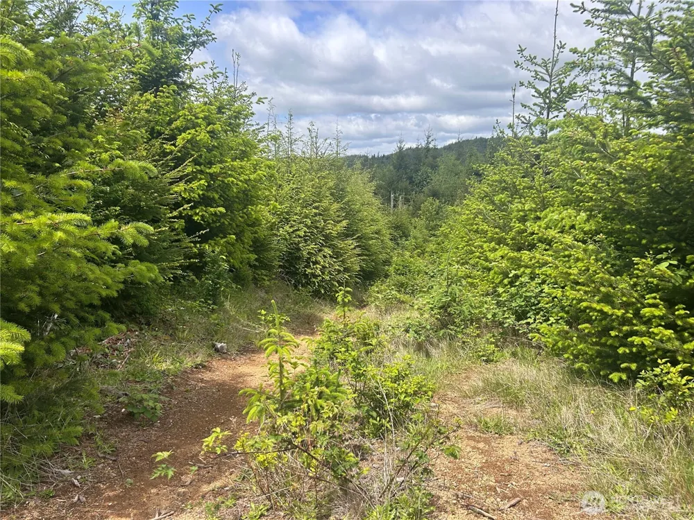 0 Eden Valley Road Rosburg, WA 98643