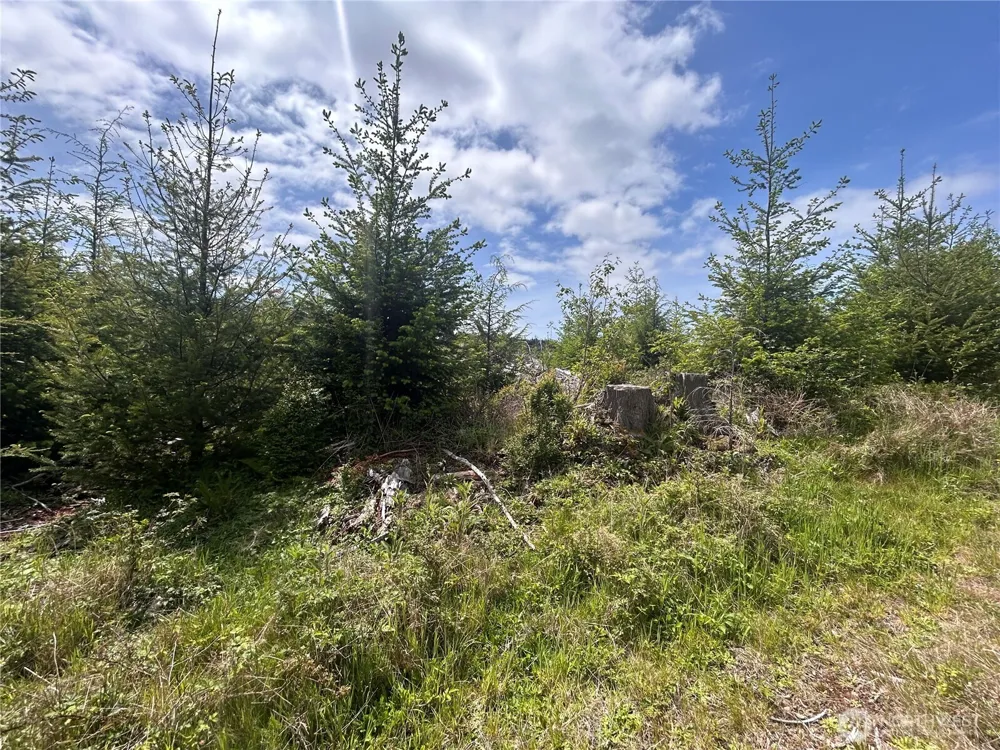 0 Eden Valley Road Rosburg, WA 98643