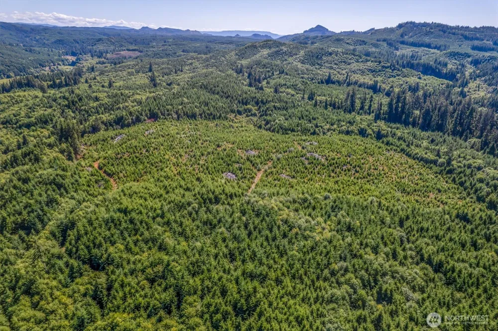 0 Eden Valley Road Rosburg, WA 98643