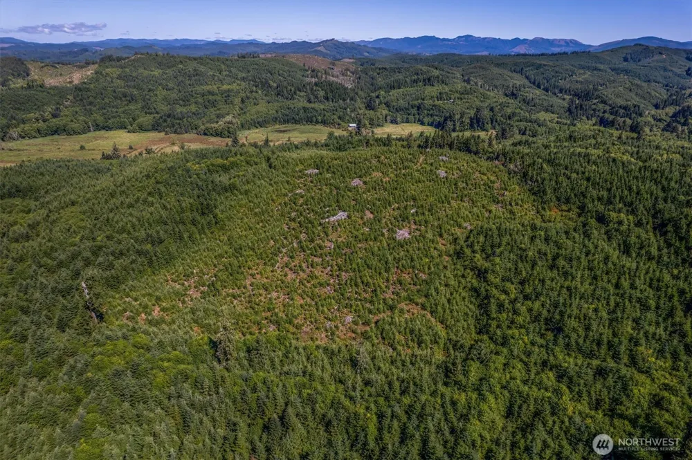 0 Eden Valley Road Rosburg, WA 98643