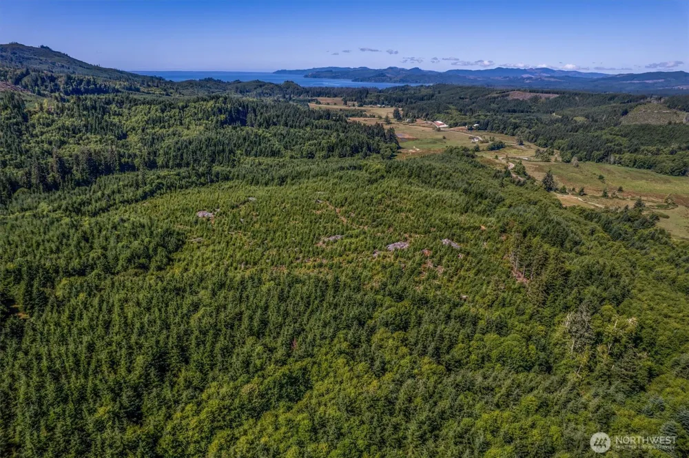 0 Eden Valley Road Rosburg, WA 98643
