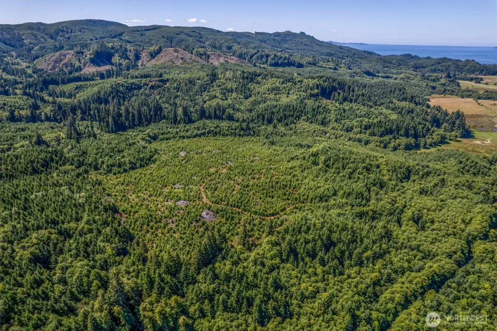 0 Eden Valley Road Rosburg, WA 98643