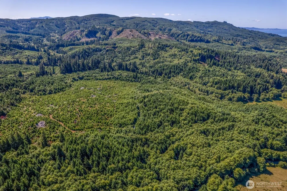 0 Eden Valley Road Rosburg, WA 98643