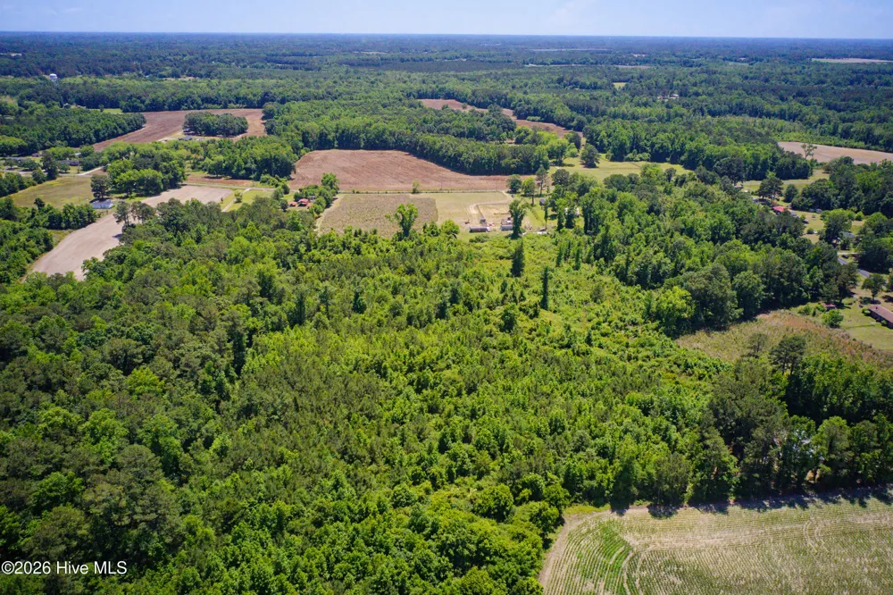 6615 Silver Spoon Road Clarkton, NC 28433