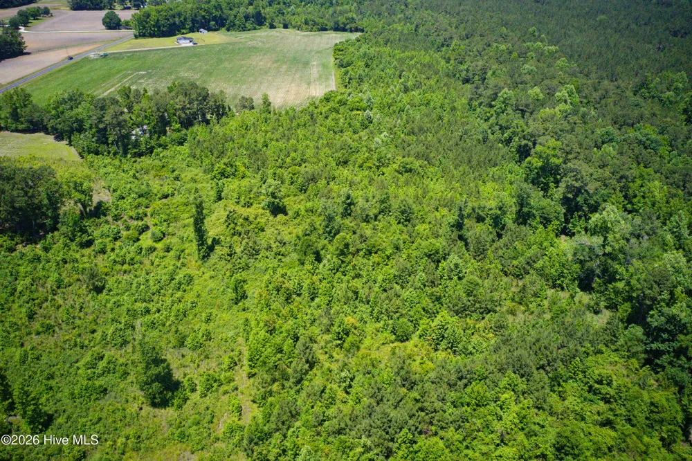 6615 Silver Spoon Road Clarkton, NC 28433