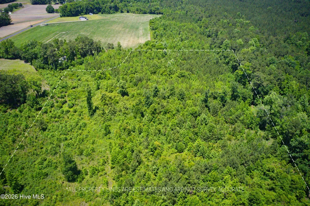 6615 Silver Spoon Road Clarkton, NC 28433
