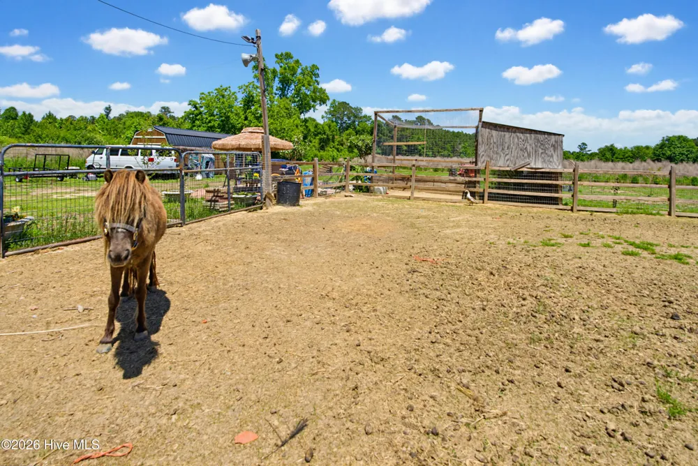6615 Silver Spoon Road Clarkton, NC 28433