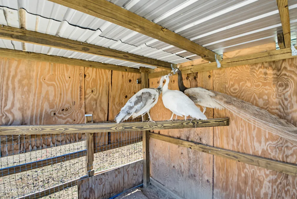 6615 Silver Spoon Road Clarkton, NC 28433