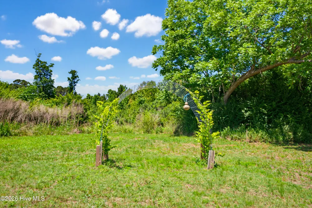 6615 Silver Spoon Road Clarkton, NC 28433