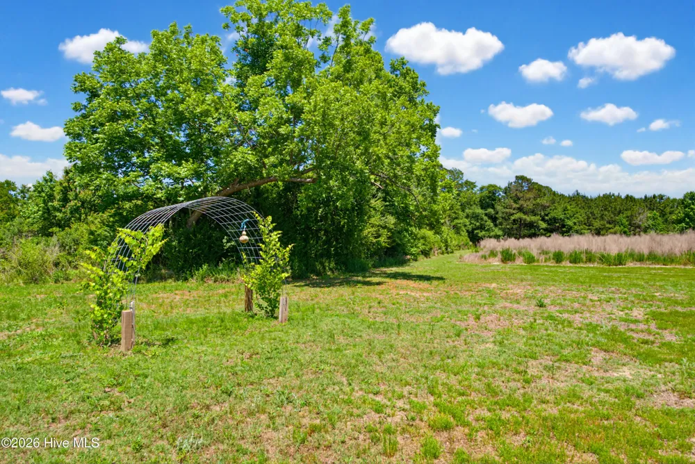 6615 Silver Spoon Road Clarkton, NC 28433