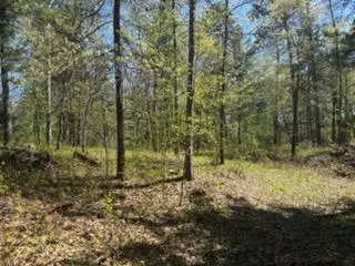 8293 Interlachen Road Lake Shore, MN 56468