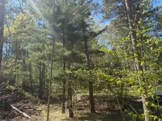 8293 Interlachen Road Lake Shore, MN 56468
