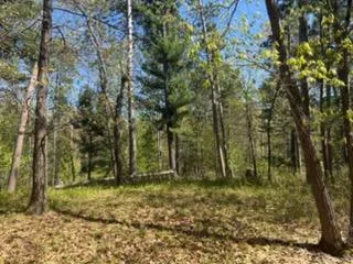 8293 Interlachen Road Lake Shore, MN 56468