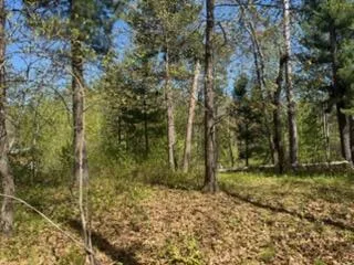 8293 Interlachen Road Lake Shore, MN 56468