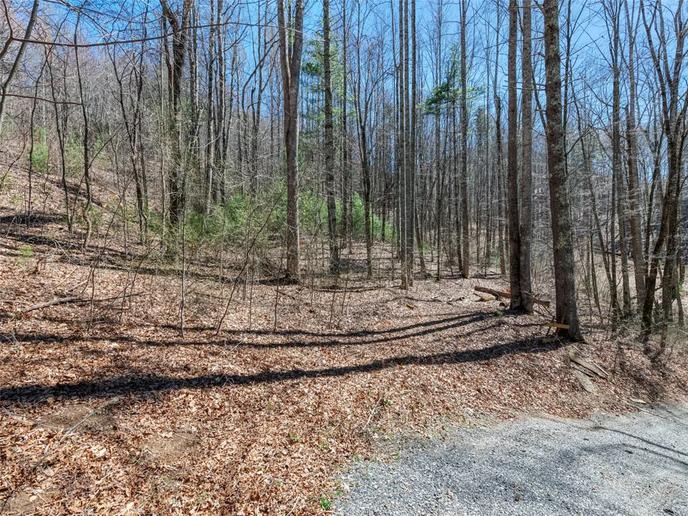 120 Nips Way Cullowhee, NC 28723