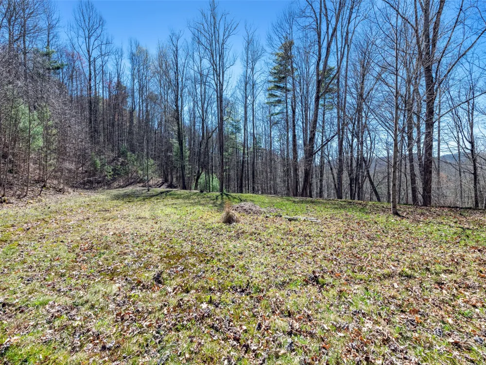 120 Nips Way Cullowhee, NC 28723
