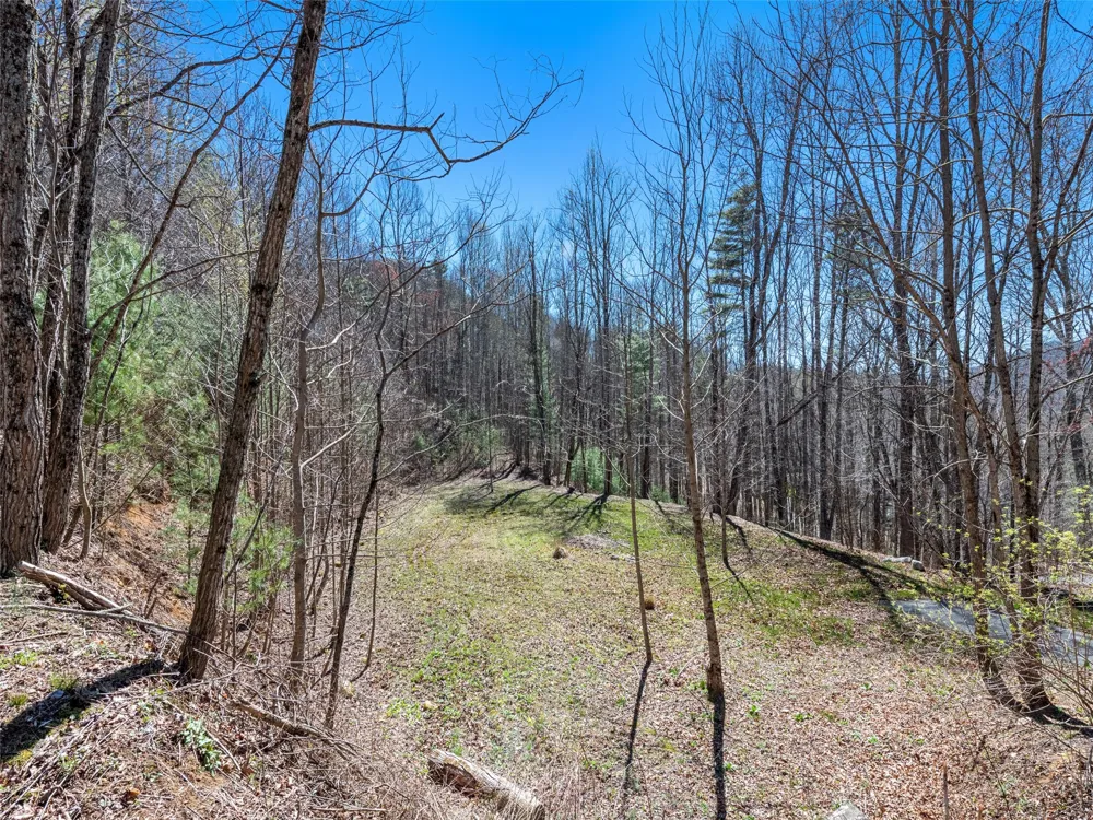 120 Nips Way Cullowhee, NC 28723