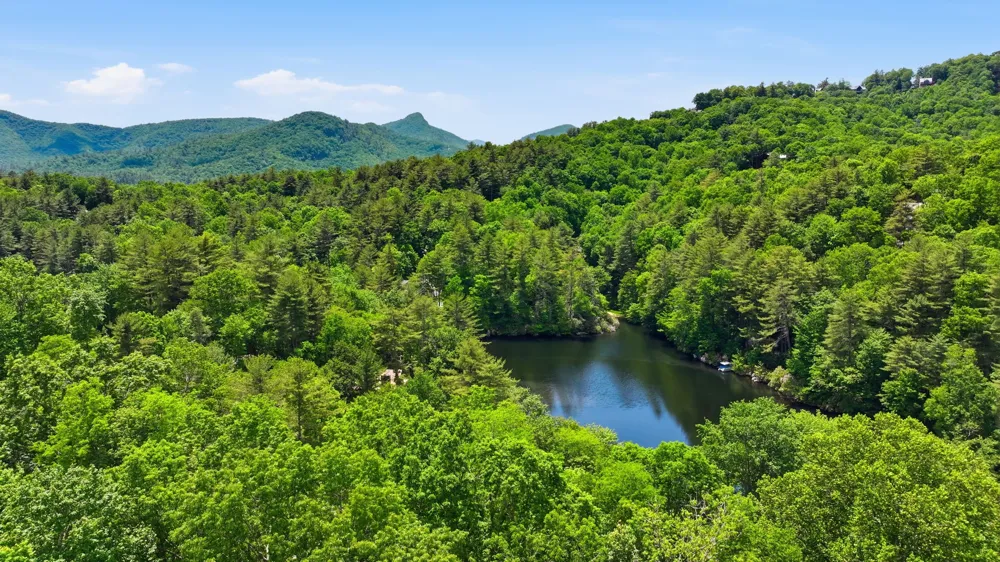68 Golden Mist Court Sapphire, NC 28774