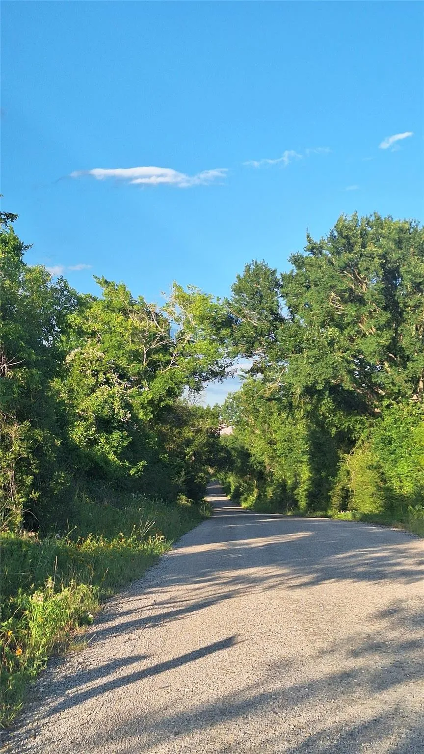 18155 Wellmann Road Washington, TX 77880