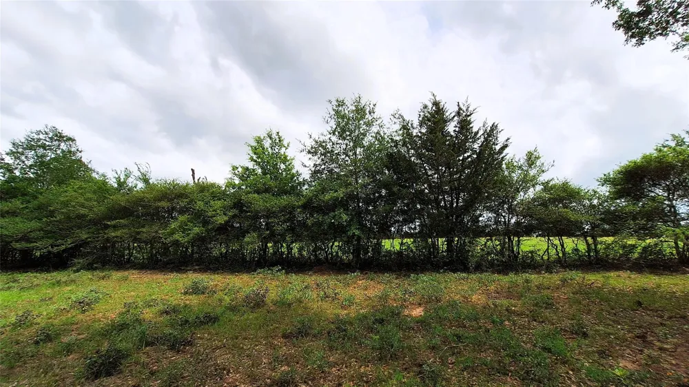 18155 Wellmann Road Washington, TX 77880
