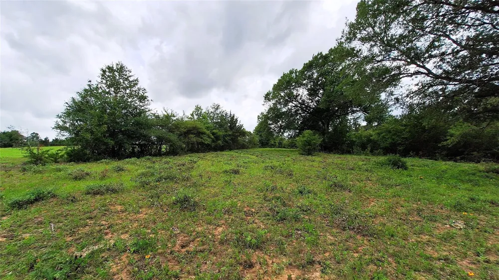 18155 Wellmann Road Washington, TX 77880