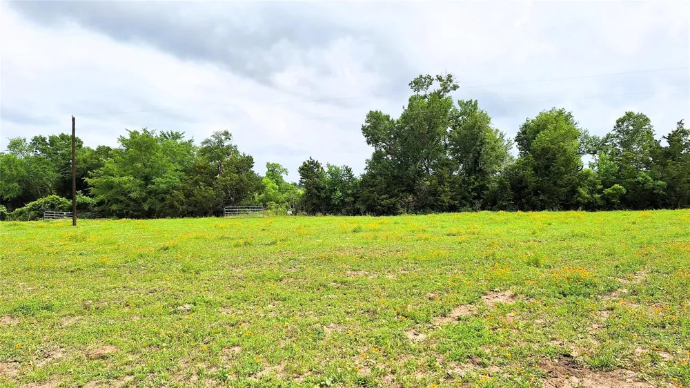 18155 Wellmann Road Washington, TX 77880