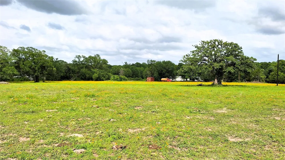 18155 Wellmann Road Washington, TX 77880